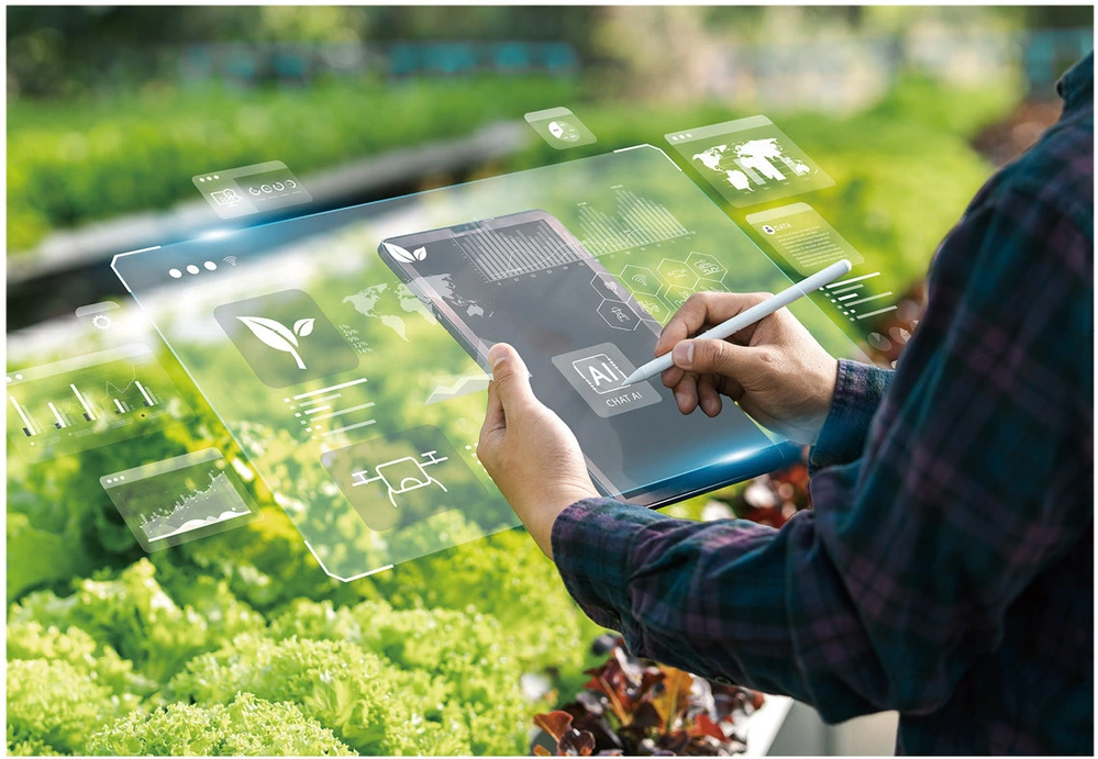 【創新創業與產經政策】新加坡政府提撥資金，鼓勵農產食品業採用科技提升產能