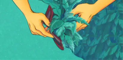 【新興領域/2022.2焦點】農業科技受創投青睞，獲投資金屢創新高