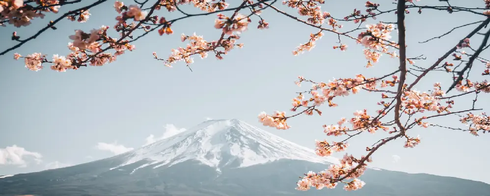 企業加速器的進擊：Creww Taiwan如何帶領臺灣新創闖進日本市場