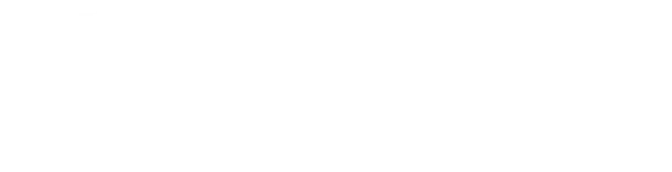 Social Ai Inc.