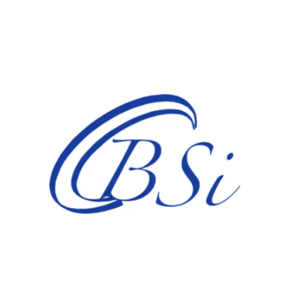 Brilliant Silicon Technology CO., LTD.