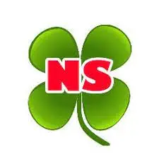 NING SIANG TECHNOLOGY CO., LTD.