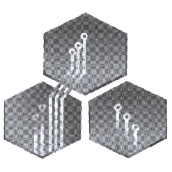 JIENG TAI INTERNATIONAL ELECTRONIC CORP.