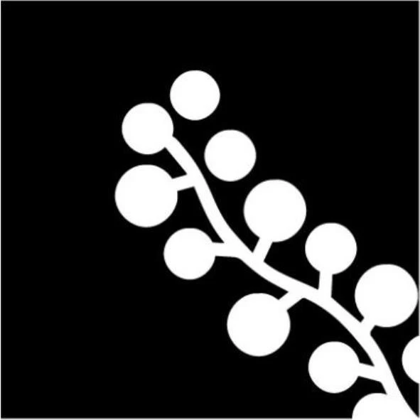 EAST GREEN BIO CORPORATION