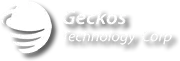 GECKOS TECHNOLOGY CORP.