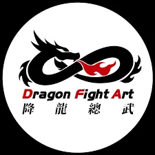 Dragon Fight Art Co., Ltd.