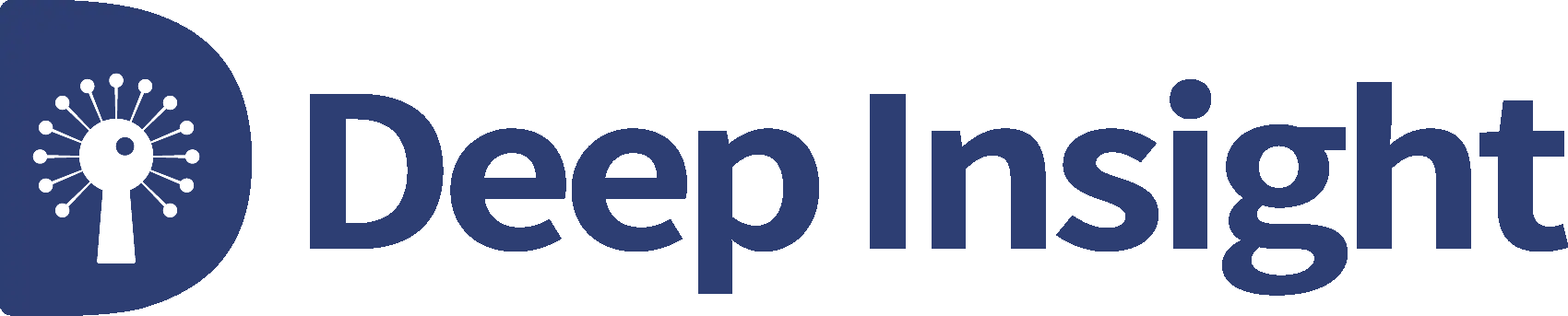 Deep Insight Analytics co, ltd