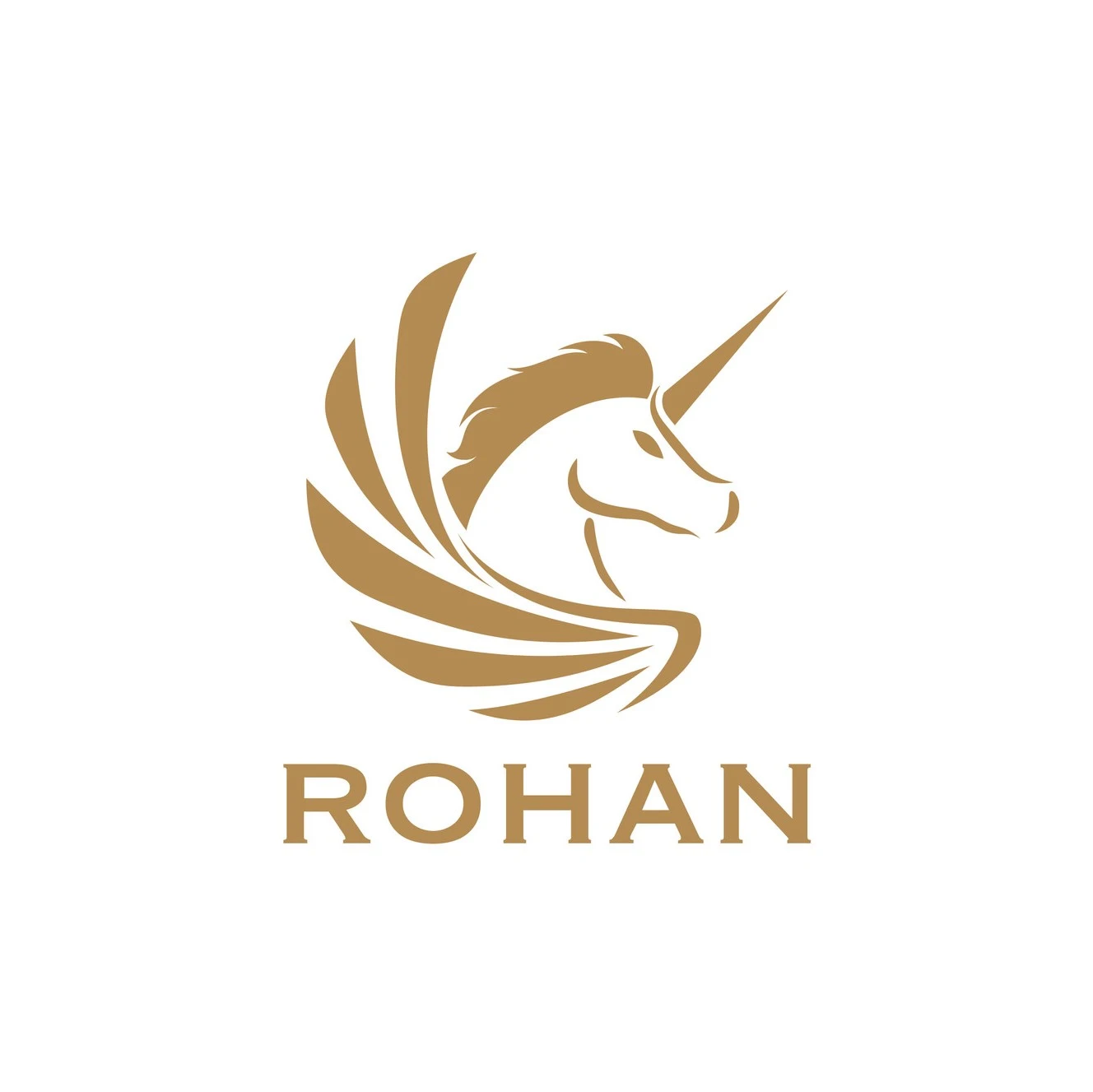 ROHAN International Co., Ltd.