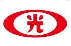 新光電力科技股份有限公司