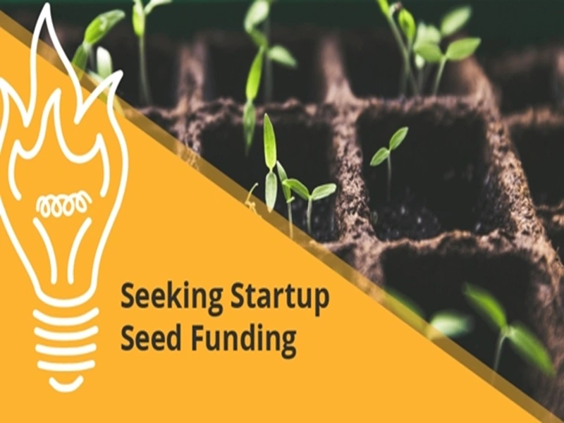 【股權投資亮點觀測】誰撐起了種子輪?2025年種子輪投資焦點與新風向